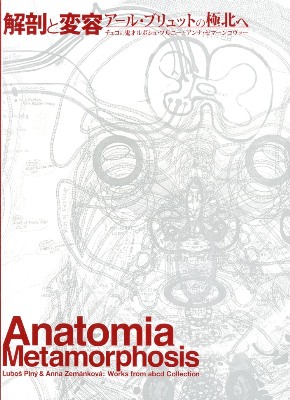 ��U�ƕϗe�F�A�[���E�u�����b�g�̋ɖk��